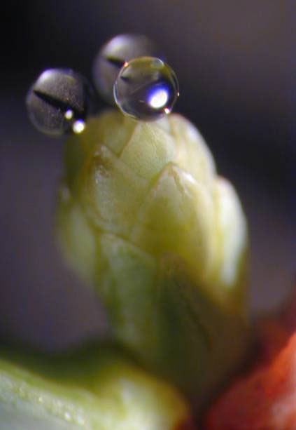 5852 immagine5 p.jpg