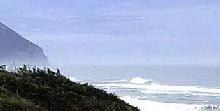 6142 mare.jpg