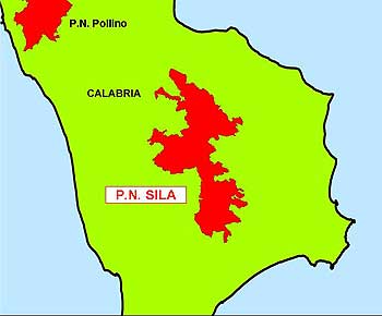 6163 sila.jpg