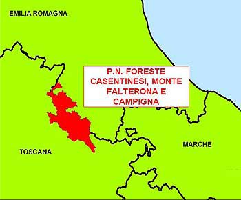 6173 foreste casentinesi.jpg