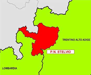 6176 stelvio.jpg