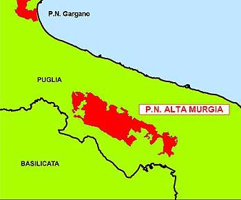 6181 alta murgia.jpg
