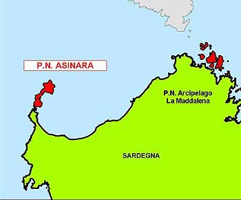 6184 asinara.jpg