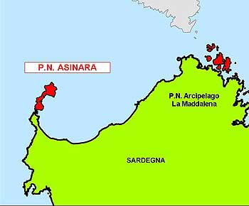 6184 asinara.jpg