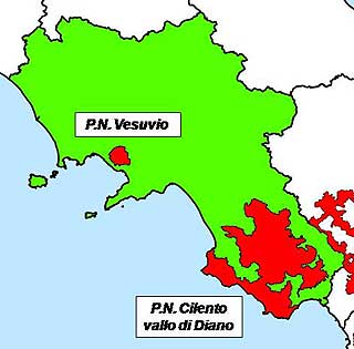6197 campania.jpg