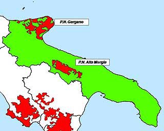 6205 puglia.jpg