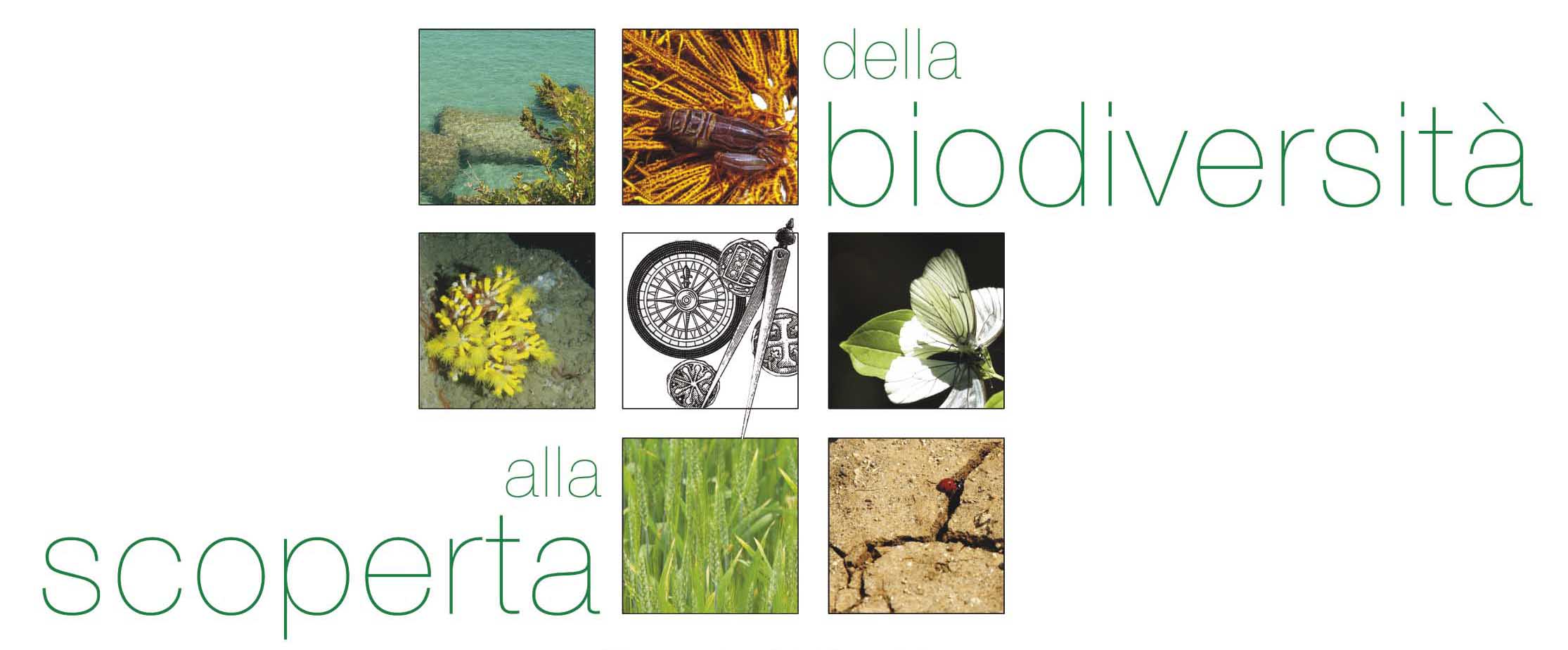 6293 foto brochure.jpg