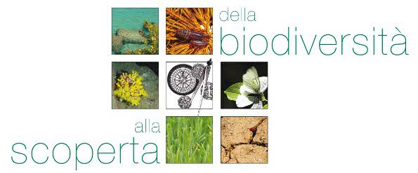 6295 foto brochure1.jpg