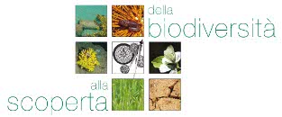 6298 foto brochure2.jpg