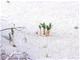 6753 thumbnail.jpg