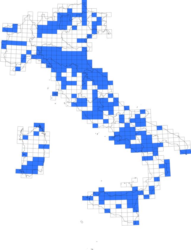6781 italia.jpg