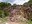 7450 montieri cava romano p.jpg