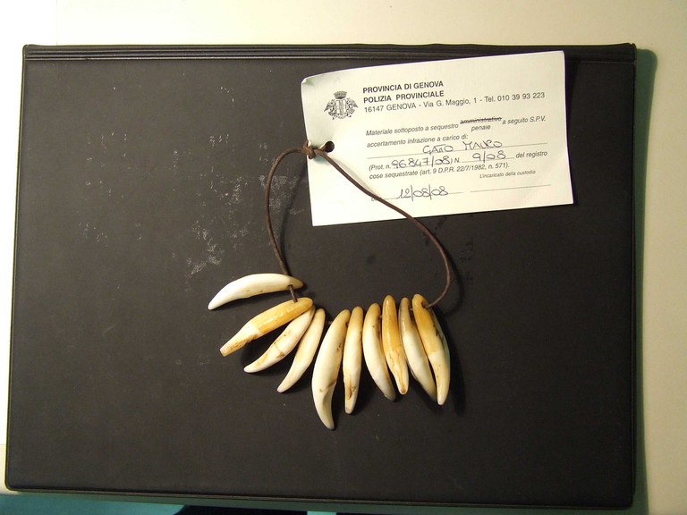 7681 collana borzonasca.jpg