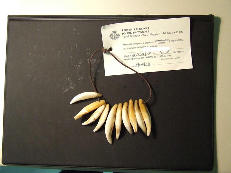 7683 collana borzonasca.jpg