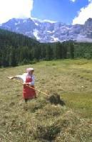 7788 agricoltura.jpg