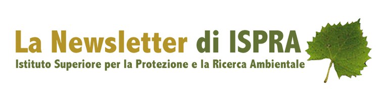 8837 testata newsletter.jpg