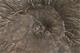 9034 thumbnail.jpg