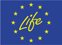 9354 lifelogo.jpg