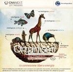 10210 locandina cna next.jpg