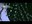 10713 corallo youtube.jpg