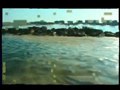 10793 monitoraggio acque marino costiere.jpg