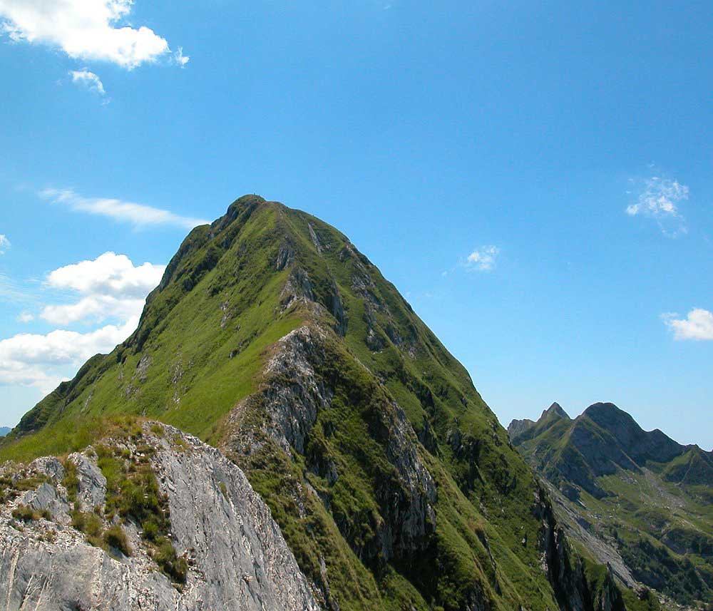 10815 cresta monte pisanino 1947.jpg