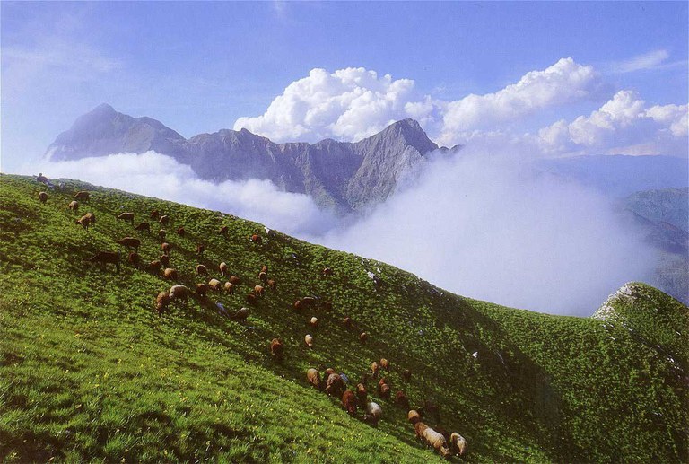 10822 pascoli del monte croce.jpg