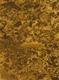 11000 thumbnail.jpg