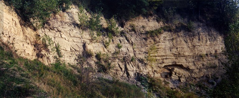 11173 fossombrone argille.jpg