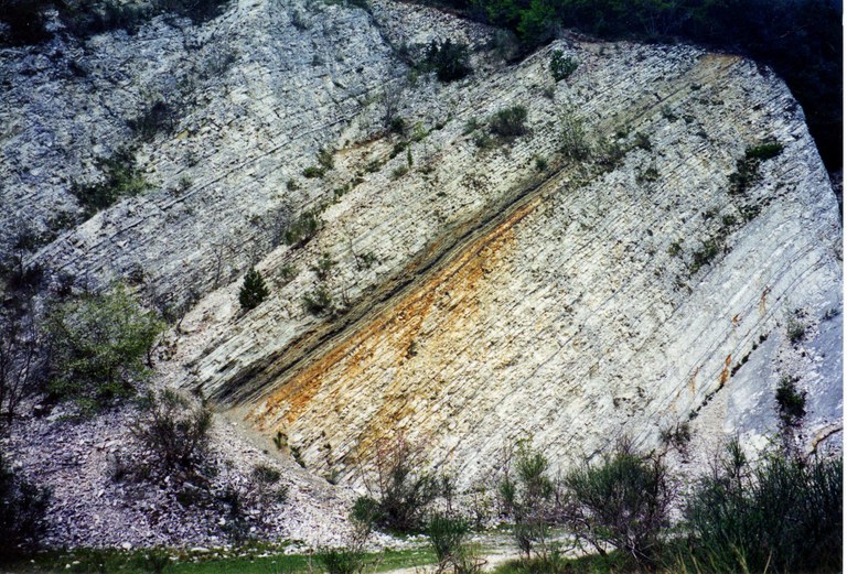 11175 fossombrone bonarelli.jpg