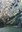 11179 fossombrone furlo.jpg