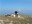 11186 thumbnail.jpg
