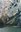 11197 thumbnail.jpg