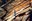 11200 thumbnail.jpg