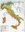 11353 thumbnail.jpg
