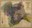 11588 savoja.jpg