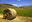 1378307 covone grano.gif