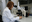 1378308 laboratorio.gif