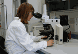 1378308 laboratorio.gif