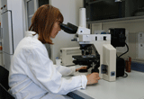1378308 laboratorio.gif