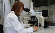1378344 analisi laboratorio.jpg