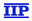 1378811 logo iip grande.gif