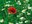 1378814 fiori ecolab.jpg