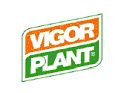1378938 logo vigorplant.gif