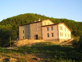 1379063 case visano.jpg