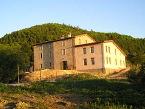 1379063 case visano.jpg