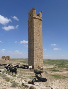 Stylite Tower of Um ar-Rasas (Jordan)