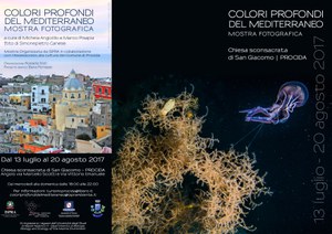 Deep colors of the Mediterranean.Exhibition photo