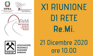 XI ReMi network meeting