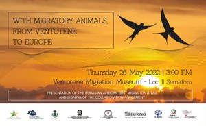 With Migratory Birds from Ventotene to Europe and beyond